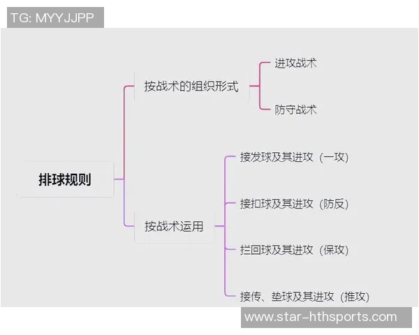 英超排球新手必看快速入门指南助你轻松掌握技巧与战术