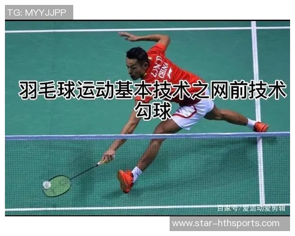 深入分析杭州羽毛球队的进攻战术与技术特点